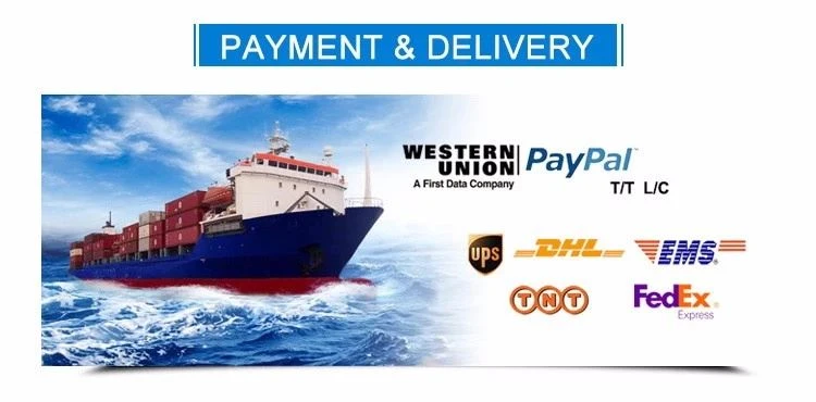 Payment and delivery Payment and delivery